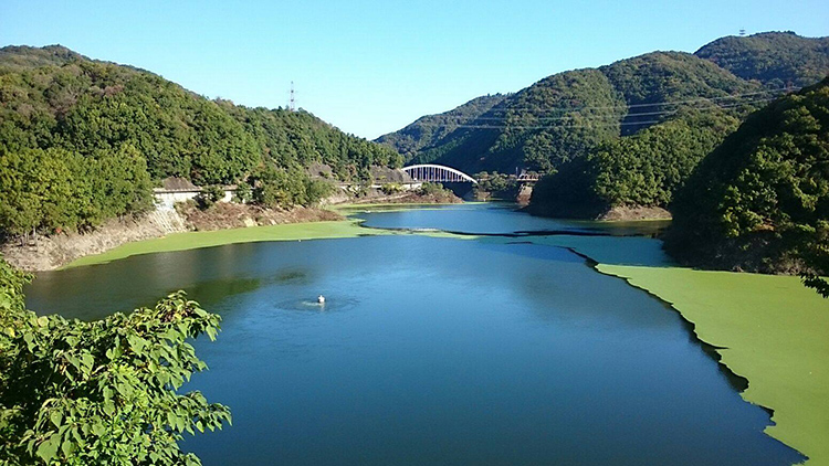 一庫ダムは1982年に竣工しました。 猪名川の洪水対策として作られました。